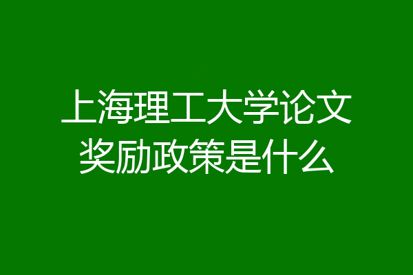 上海理工大学论文奖励政策是什么
