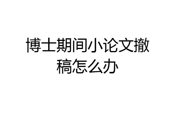 博士期间小论文撤稿怎么办
