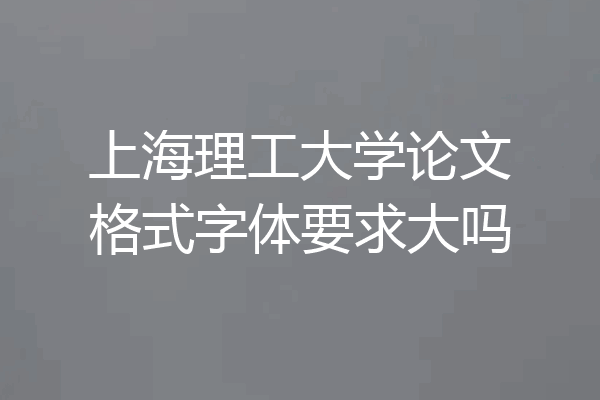 上海理工大学论文格式字体要求大吗