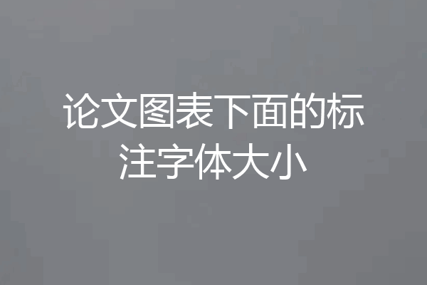 论文图表下面的标注字体大小