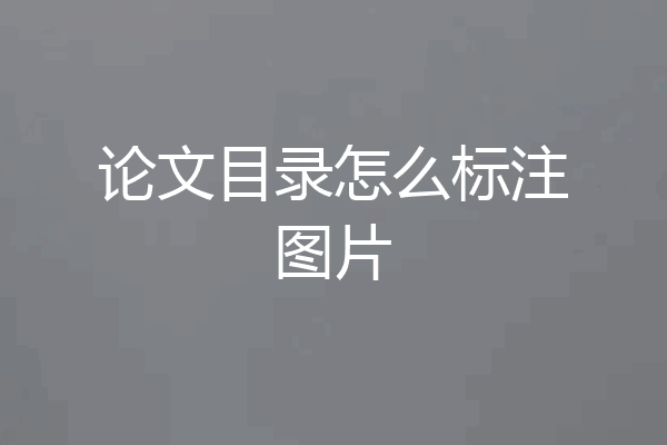 论文目录怎么标注图片