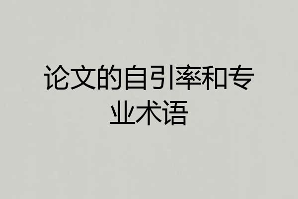 论文的自引率和专业术语