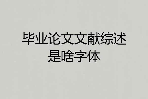 毕业论文文献综述是啥字体