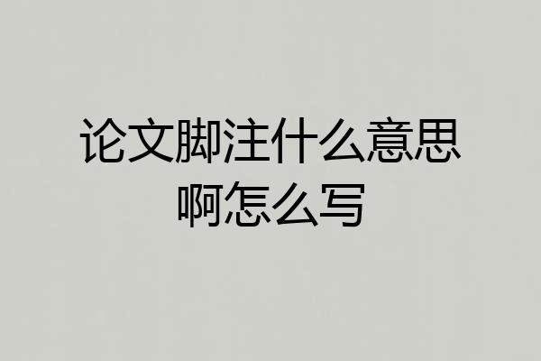 论文脚注什么意思啊怎么写