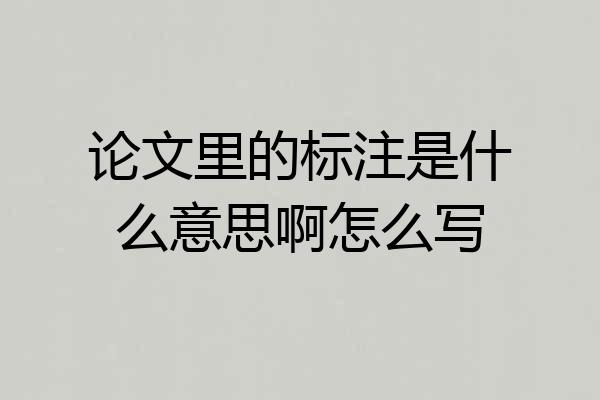 论文里的标注是什么意思啊怎么写