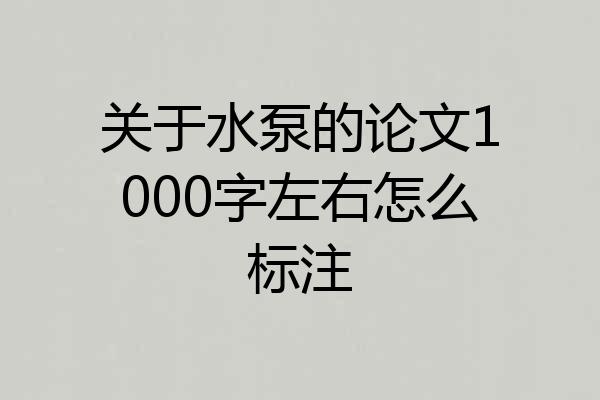 关于水泵的论文1000字左右怎么标注