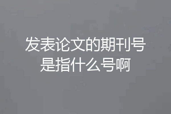 发表论文的期刊号是指什么号啊