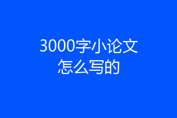 3000字小论文怎么写的