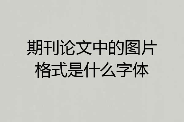 期刊论文中的图片格式是什么字体