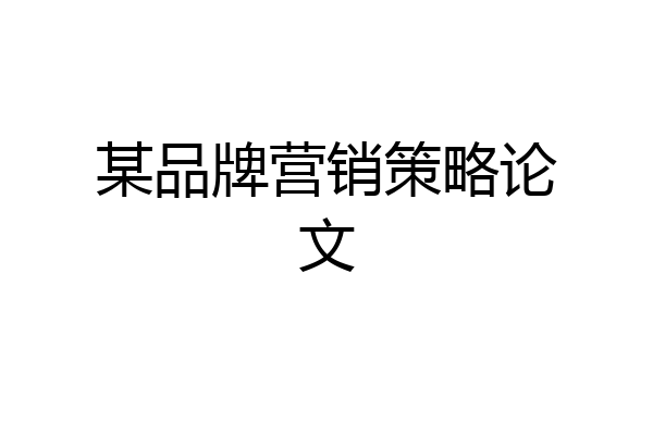 某品牌营销策略论文
