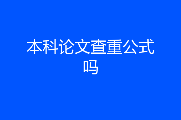 本科论文查重公式吗