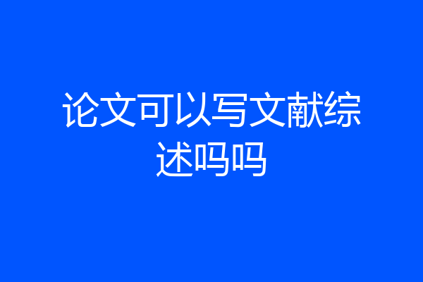 论文可以写文献综述吗吗