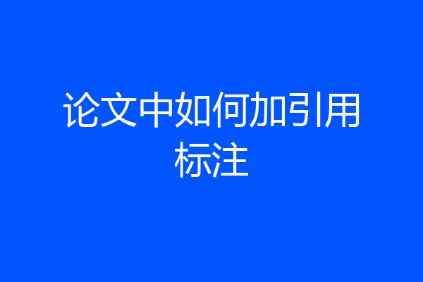 论文中如何加引用标注