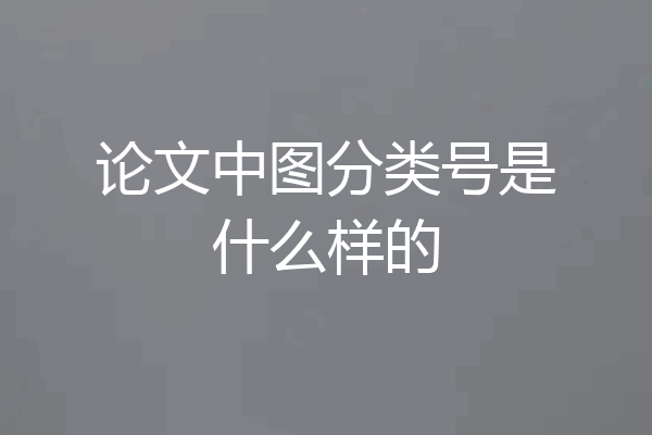论文中图分类号是什么样的
