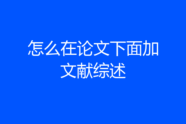 怎么在论文下面加文献综述