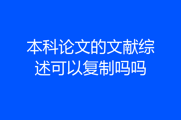 本科论文的文献综述可以复制吗吗