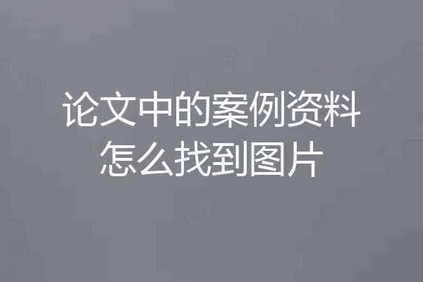 论文中的案例资料怎么找到图片