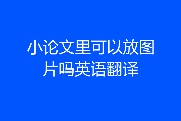 小论文里可以放图片吗英语翻译