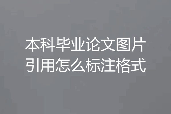 本科毕业论文图片引用怎么标注格式