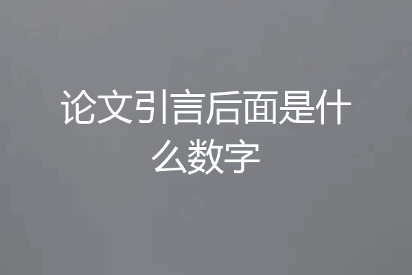 论文引言后面是什么数字