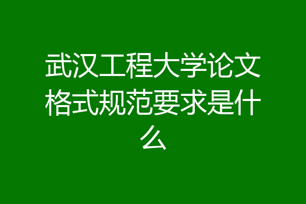武汉工程大学论文格式规范要求是什么