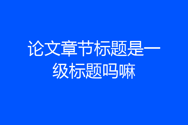 论文章节标题是一级标题吗嘛