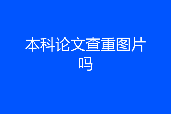 本科论文查重图片吗