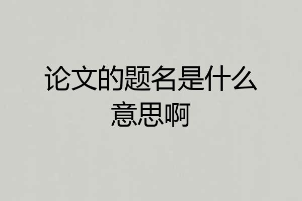 论文的题名是什么意思啊