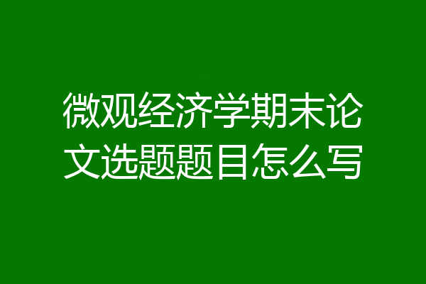 微观经济学期末论文选题题目怎么写
