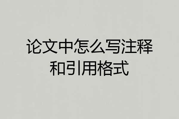 论文中怎么写注释和引用格式