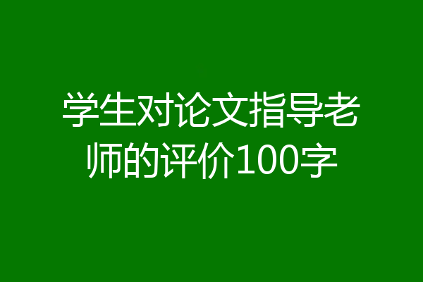 学生对论文指导老师的评价100字