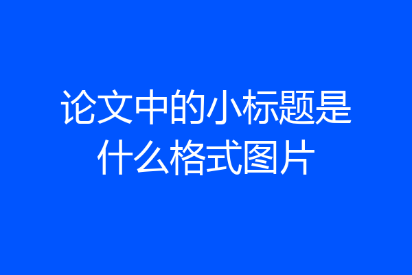 论文中的小标题是什么格式图片