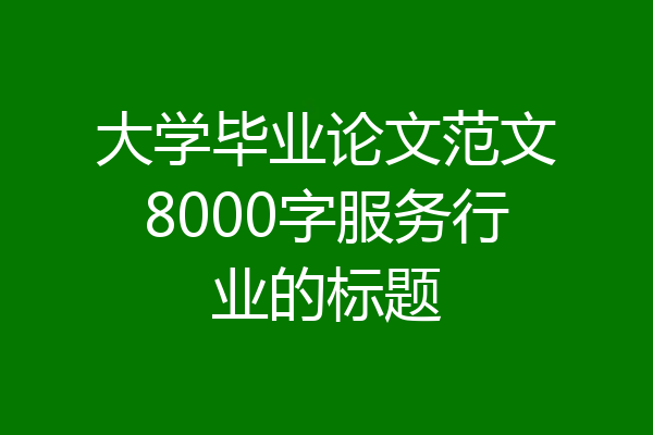 大学毕业论文范文8000字服务行业的标题