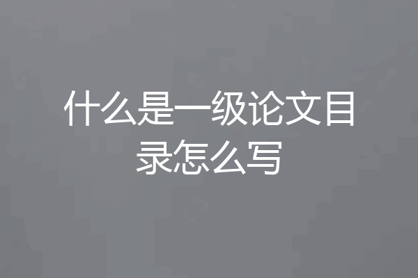 什么是一级论文目录怎么写