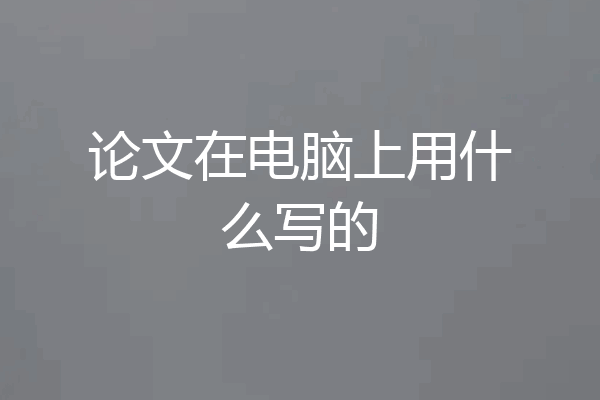 论文在电脑上用什么写的