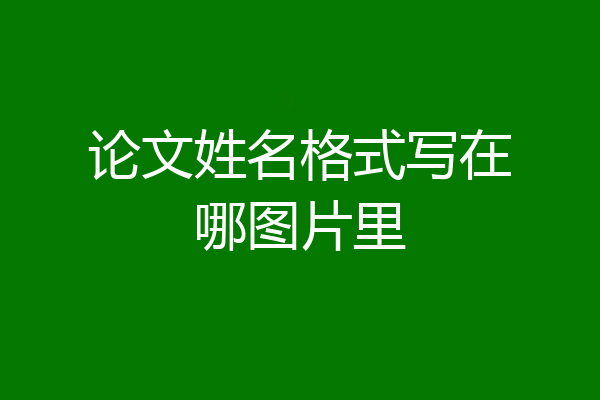 论文姓名格式写在哪图片里