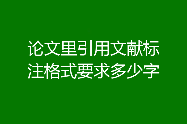 论文里引用文献标注格式要求多少字