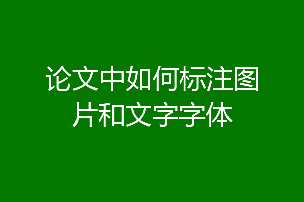 论文中如何标注图片和文字字体
