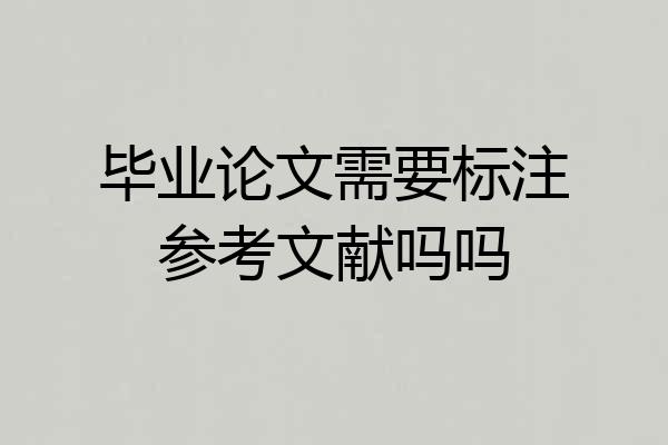 毕业论文需要标注参考文献吗吗