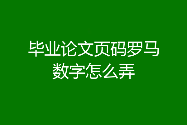 毕业论文页码罗马数字怎么弄