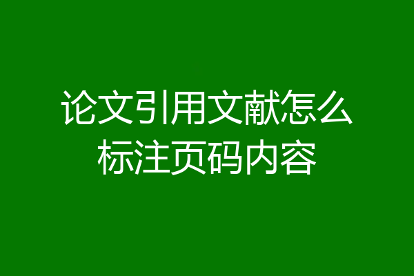论文引用文献怎么标注页码内容