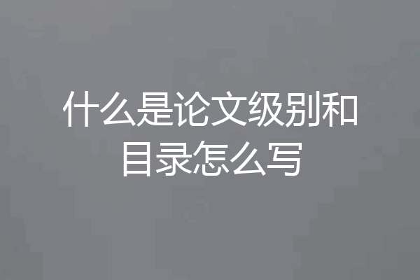 什么是论文级别和目录怎么写