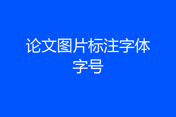 论文图片标注字体字号