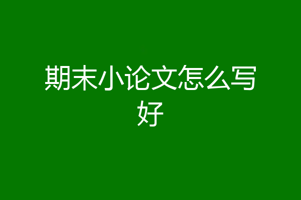 期末小论文怎么写好