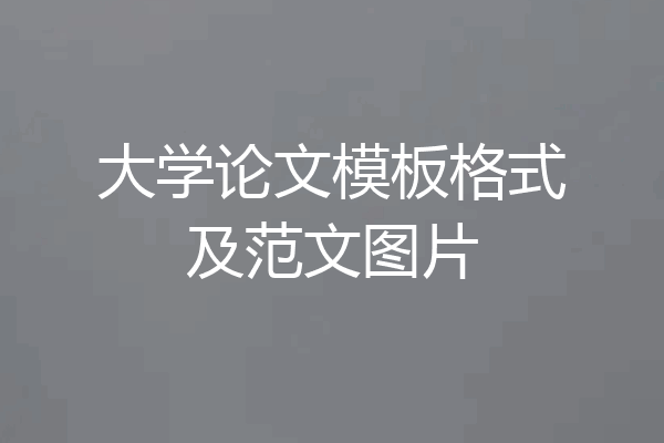 大学论文模板格式及范文图片