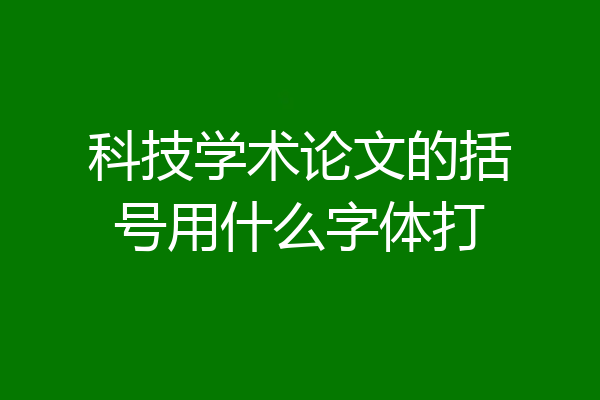 科技学术论文的括号用什么字体打