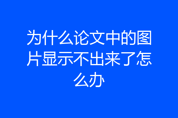 为什么论文中的图片显示不出来了怎么办