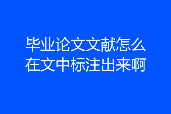 毕业论文文献怎么在文中标注出来啊