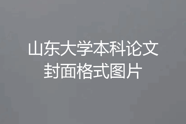 山东大学本科论文封面格式图片