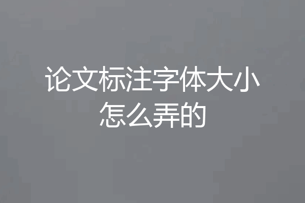 论文标注字体大小怎么弄的